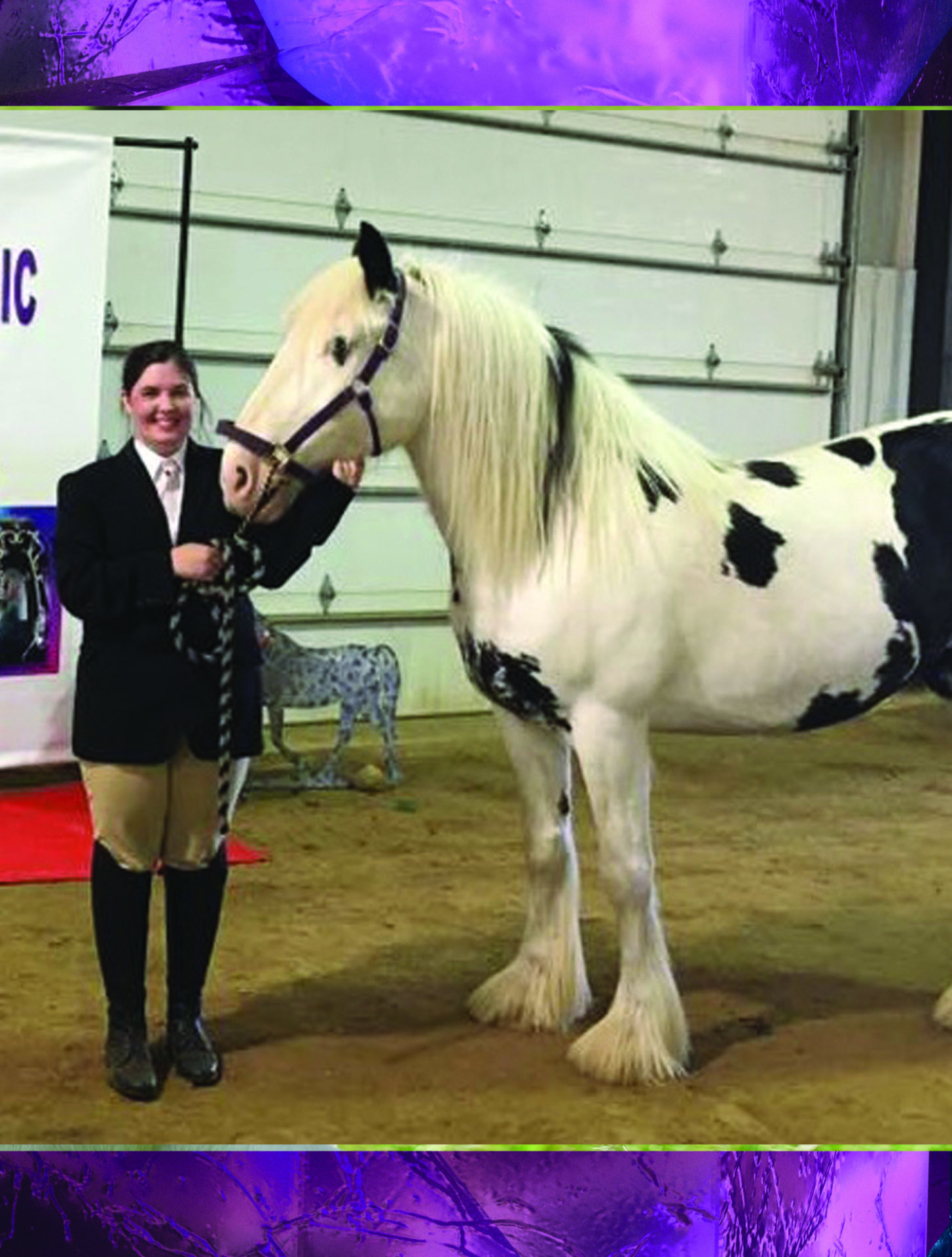 Home Bradfield Drum Horses